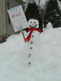 Suburban Snow Activism