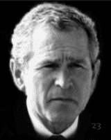BUSHITLER...