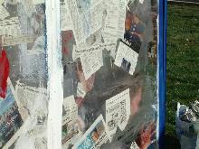  Who's Afraid of the Red White And Blue?