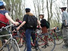critical mass photos