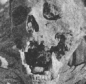 The holocauust that did happen!