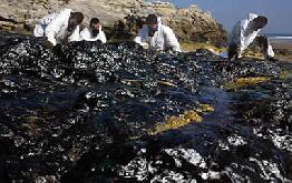 The Environment/Energy Balance