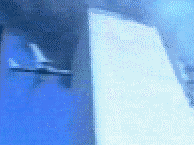 Can you spell H-O-L-...