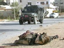 A Society of Peace That Wants THis For Its Children?