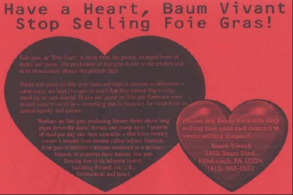 Voices for Animal Li...