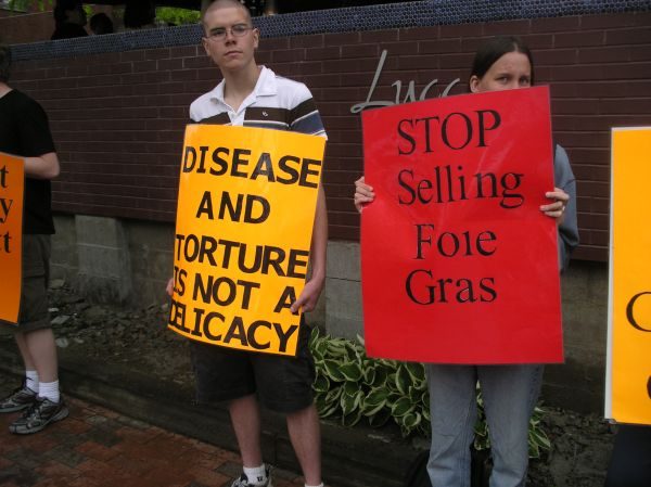 Voices for Animal Li...