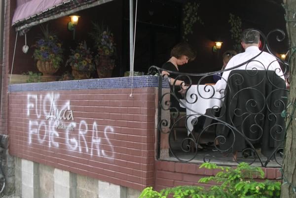 foie gras at lucca r...