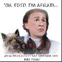 "OH, TOTO, I'M AFRAID..."