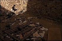 The world bury the head in the sand