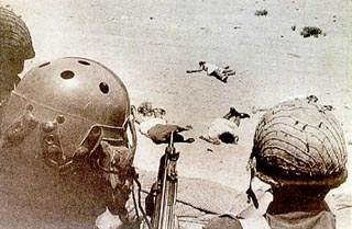 Terrorism Began at D...