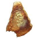 Arafat's face appears on grilled cheese sandwich