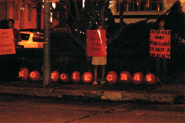 Close up of protest ...