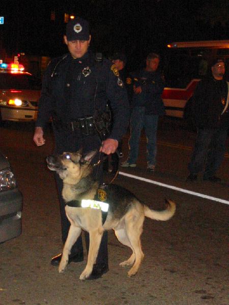 police dog...