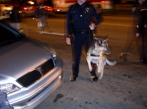 Police dog...