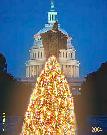 AMERICA'S NATIONAL CHRISTMAS TREE 2004