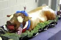 Special Holiday Recipe: ROASTED DOUBLE-STUFFED STUFFED PIG A LA FALLUJAH