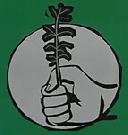 Indynewswire Reflection on Reclaim The Commons