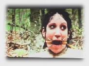 Documentary linking human and animal cruelty