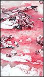 SHAME ON CANADA!...