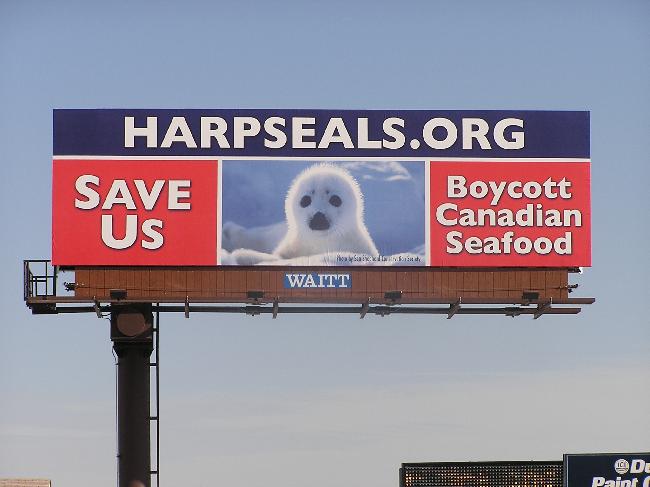 YOU CAN HELP STOP TH...