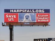 HSUS APPLAUDS GREENLAND FOR ENDING ALL IMPORTS OF CANADIAN SEALSKINS