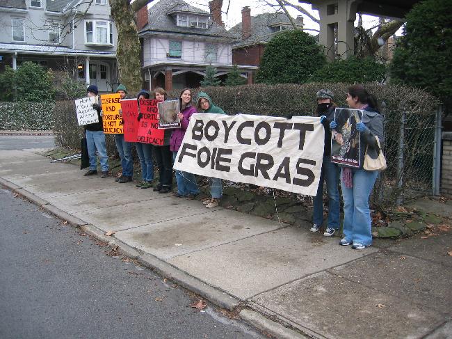 Voices for Animals P...