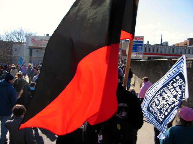 What is an anarcho-s...