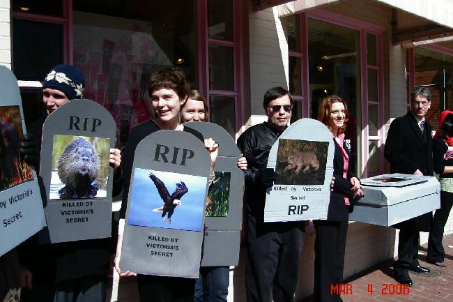 Voices For Animals H...