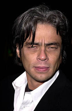Benicio del Toro cal...