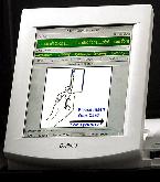 Brazil: The Perfect Electoral Crime (II)