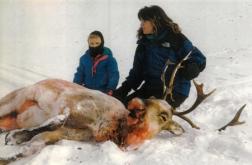 Update: The Criminal Corruption and Animal Cruelty of Gov. Sarah Palin